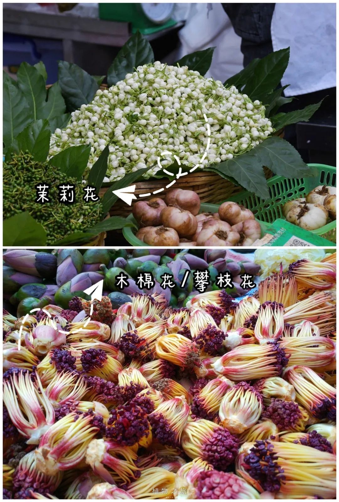 云南省文化和旅游厅