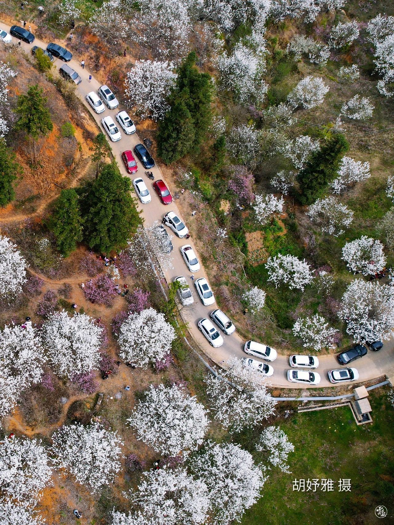 云南省文化和旅游厅