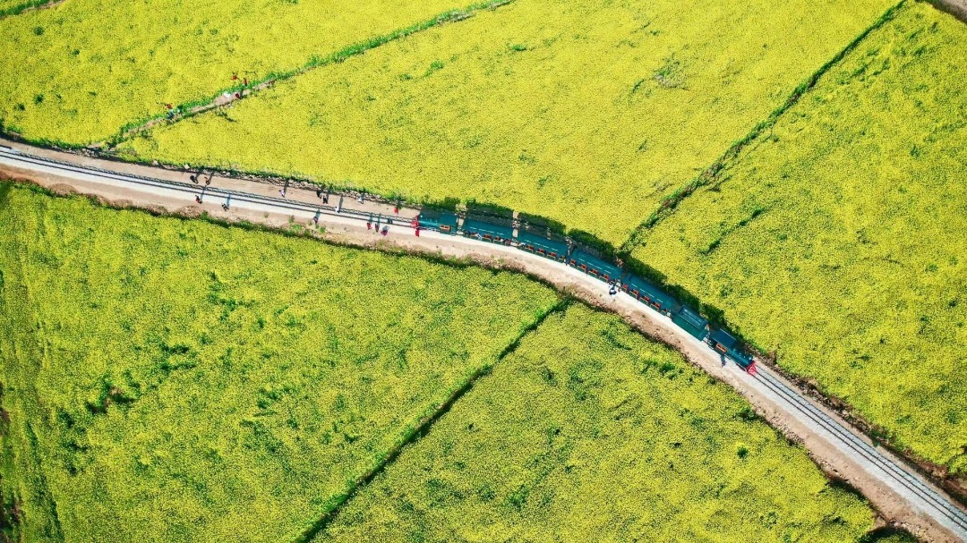 云南省文化和旅游厅