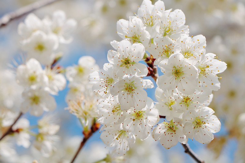 云南省文化和旅游厅