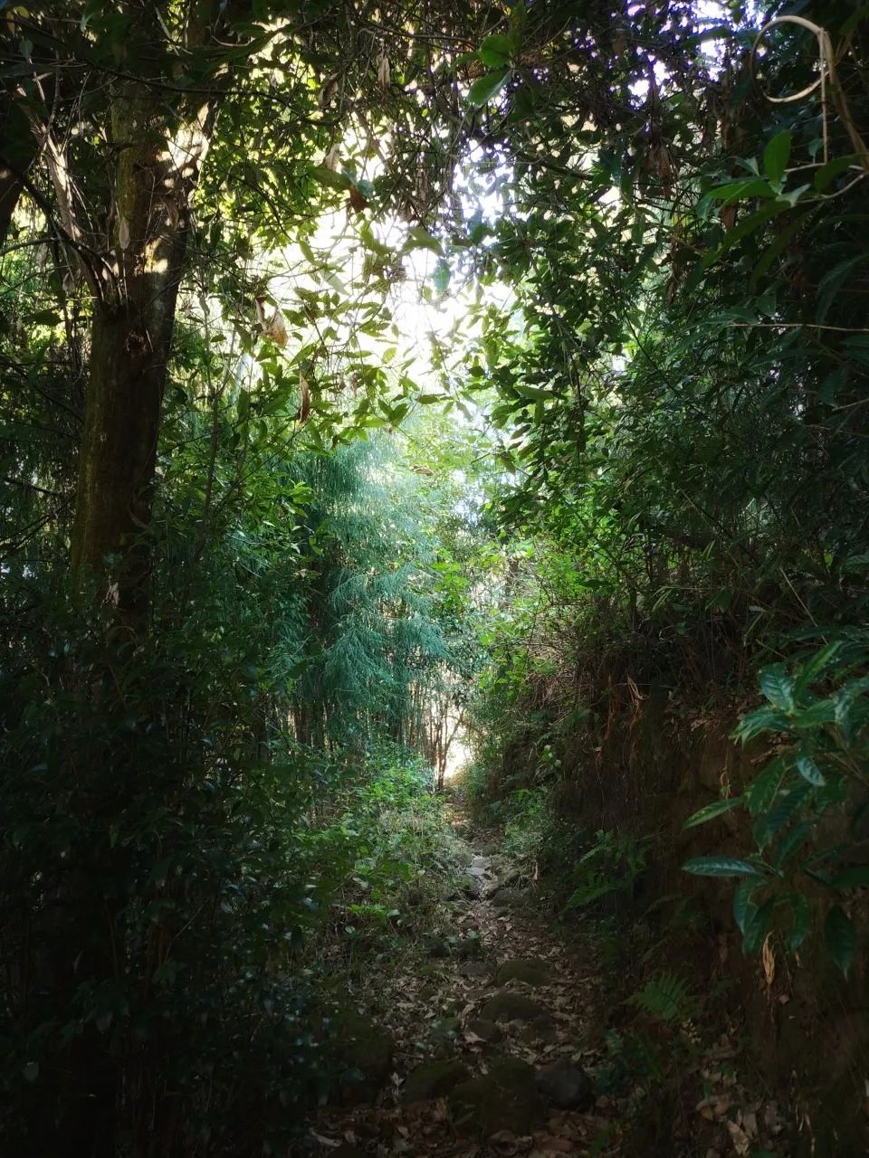 一部手机游云南