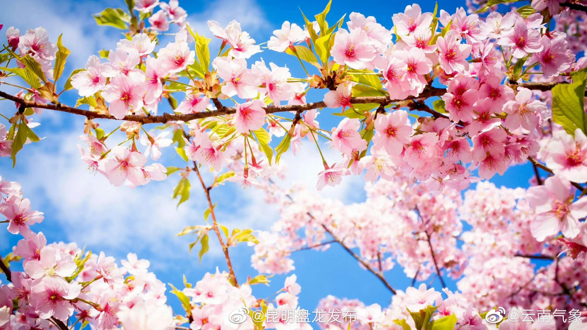 云南省未来24小时天气预报