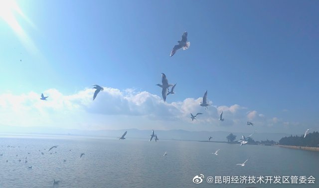 昆明经济技术开发区管委会