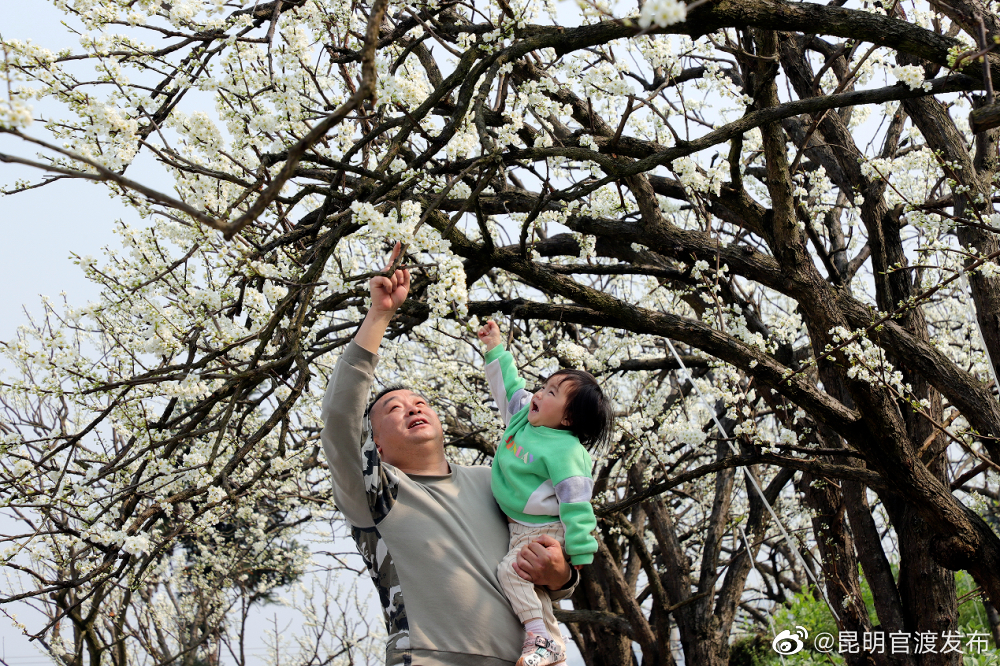 “昆明官渡发布”微博