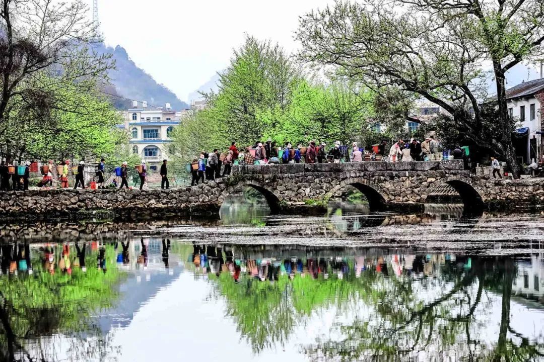 云南省文化和旅游厅