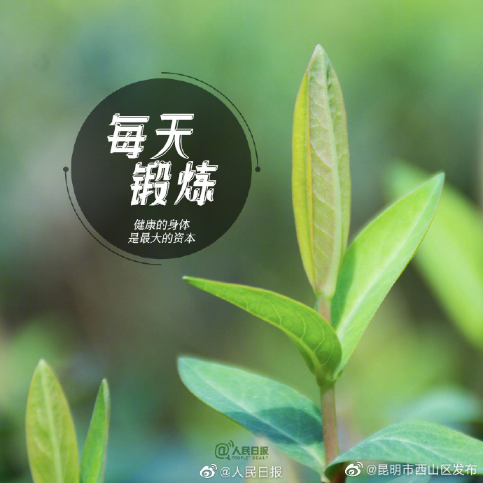 昆明市西山区发布