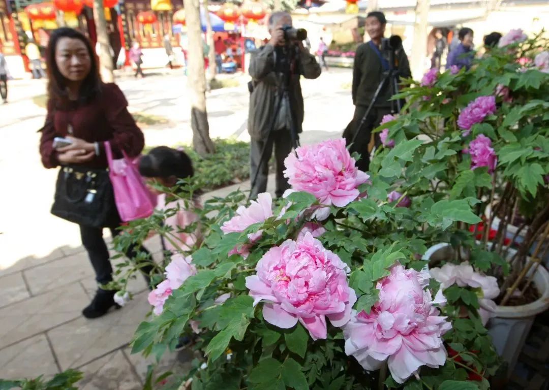 昆明文旅