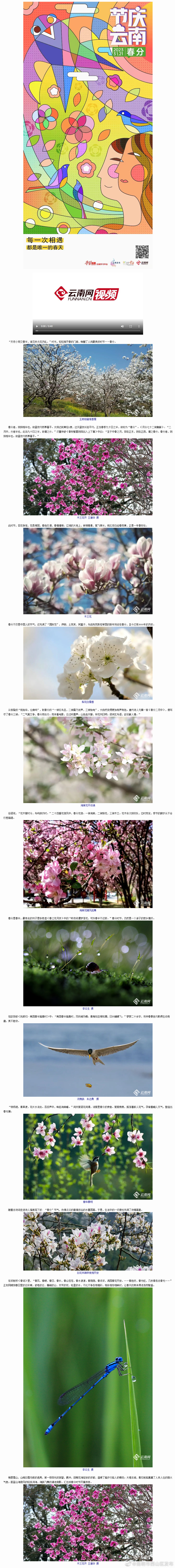 昆明市西山区发布