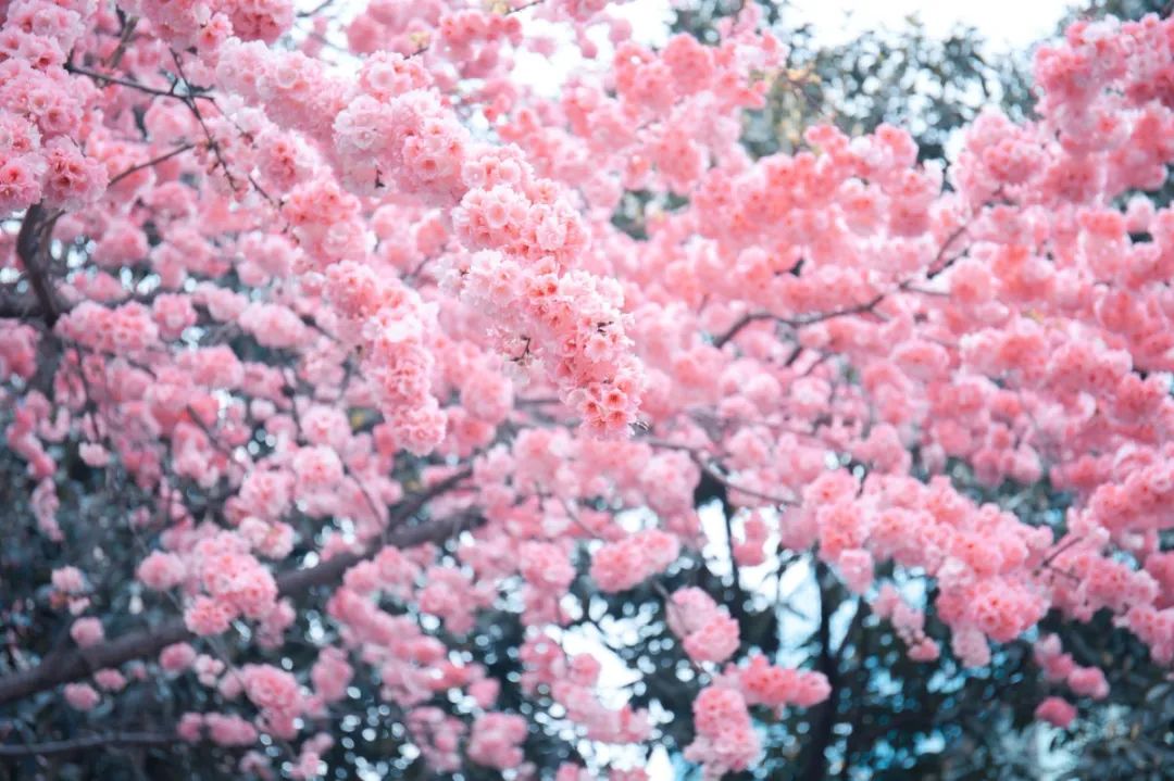 一部手机游云南