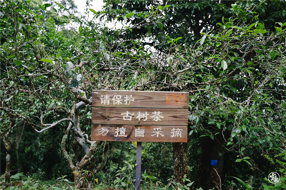 云南省文化和旅游厅