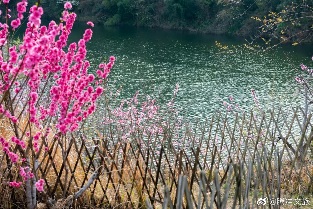 腾冲文旅微博