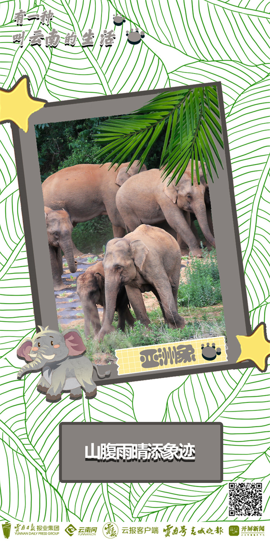 云南省文化和旅游厅