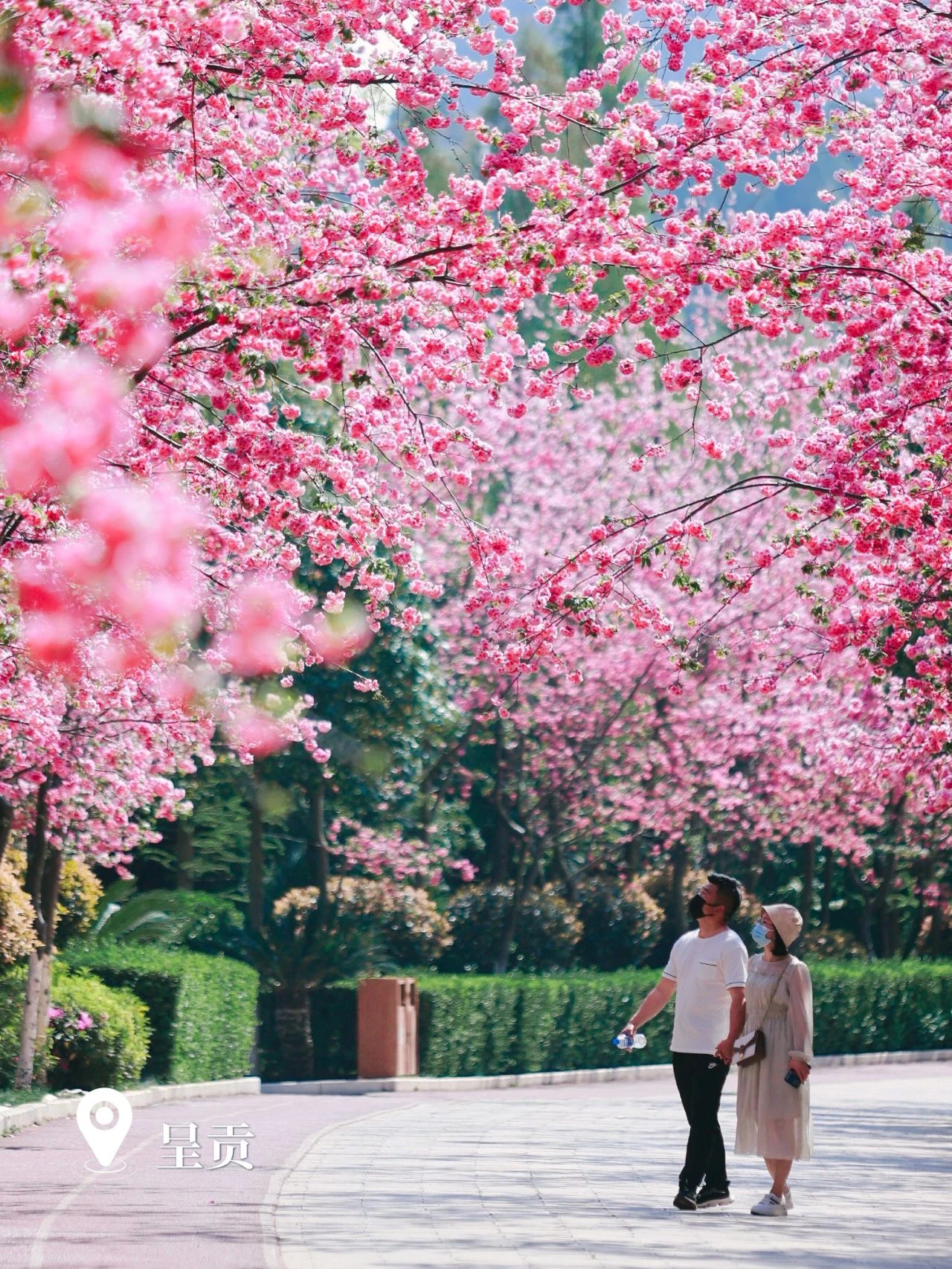 云南省文化和旅游厅