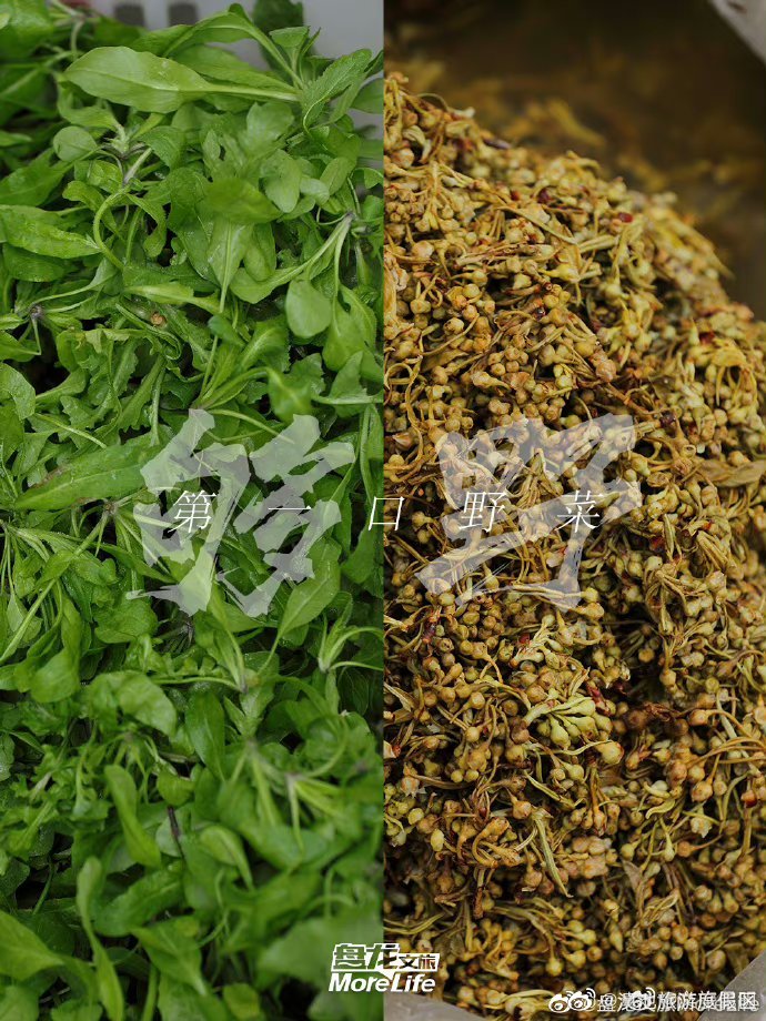 滇池旅游度假区