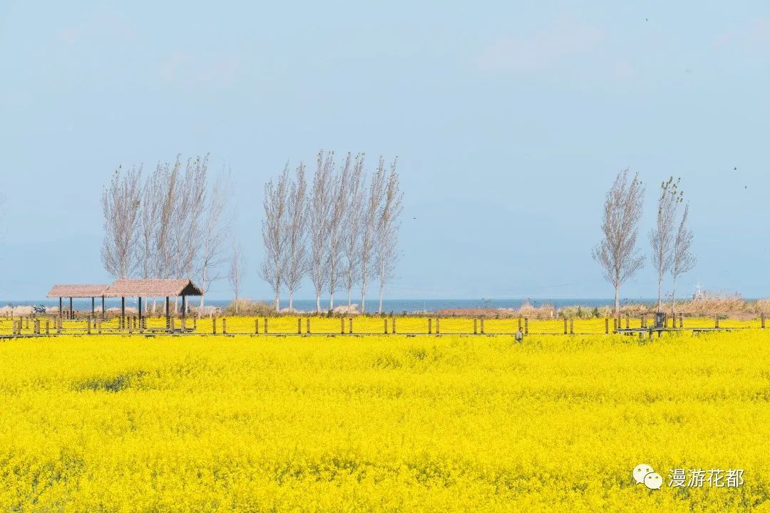 云南省文化和旅游厅