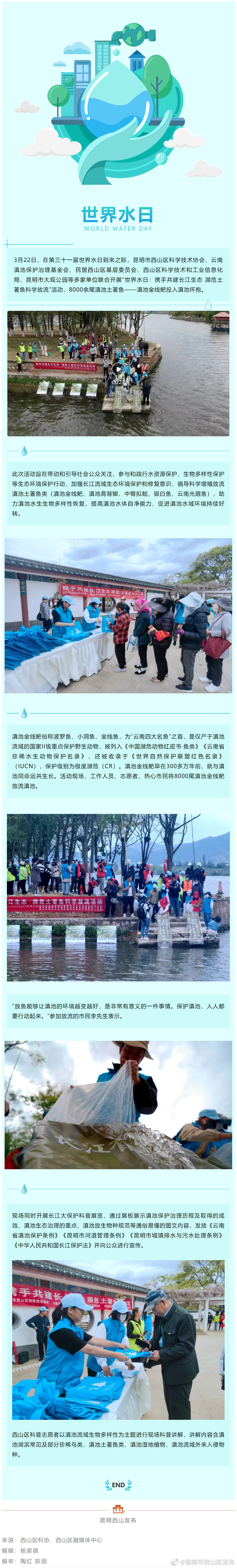8000余尾滇池金线鲃放流昆明滇池