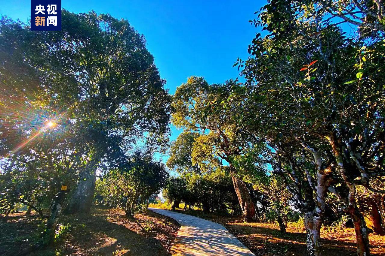 云南省文化和旅游厅