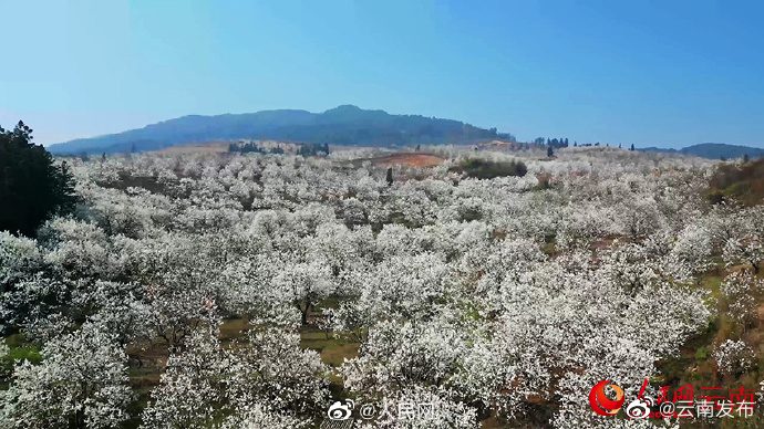 “云南发布”微博