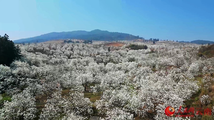 云南省文化和旅游厅