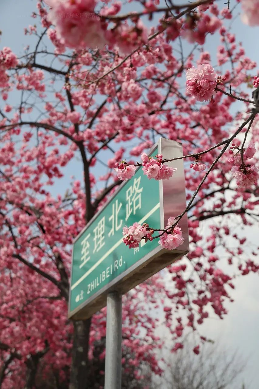 一部手机游云南