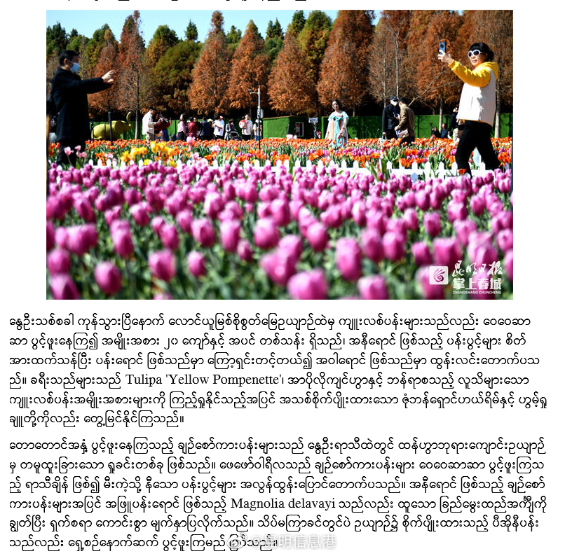 昆明信息港（微博）