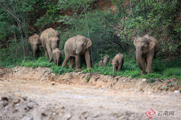 云南省文化和旅游厅