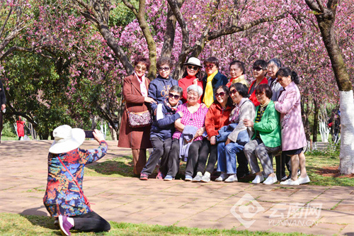 云南省文化和旅游厅