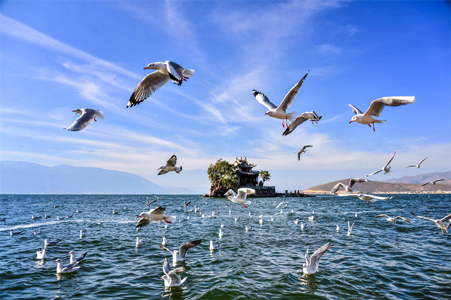 云南省文化和旅游厅