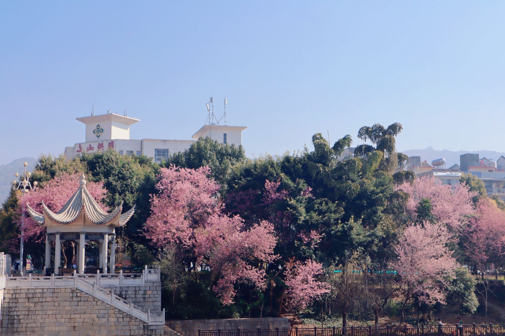 云南省文化和旅游厅