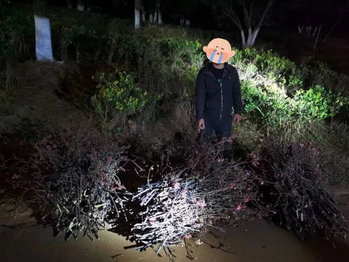 昆明信息港/cnkmxxg