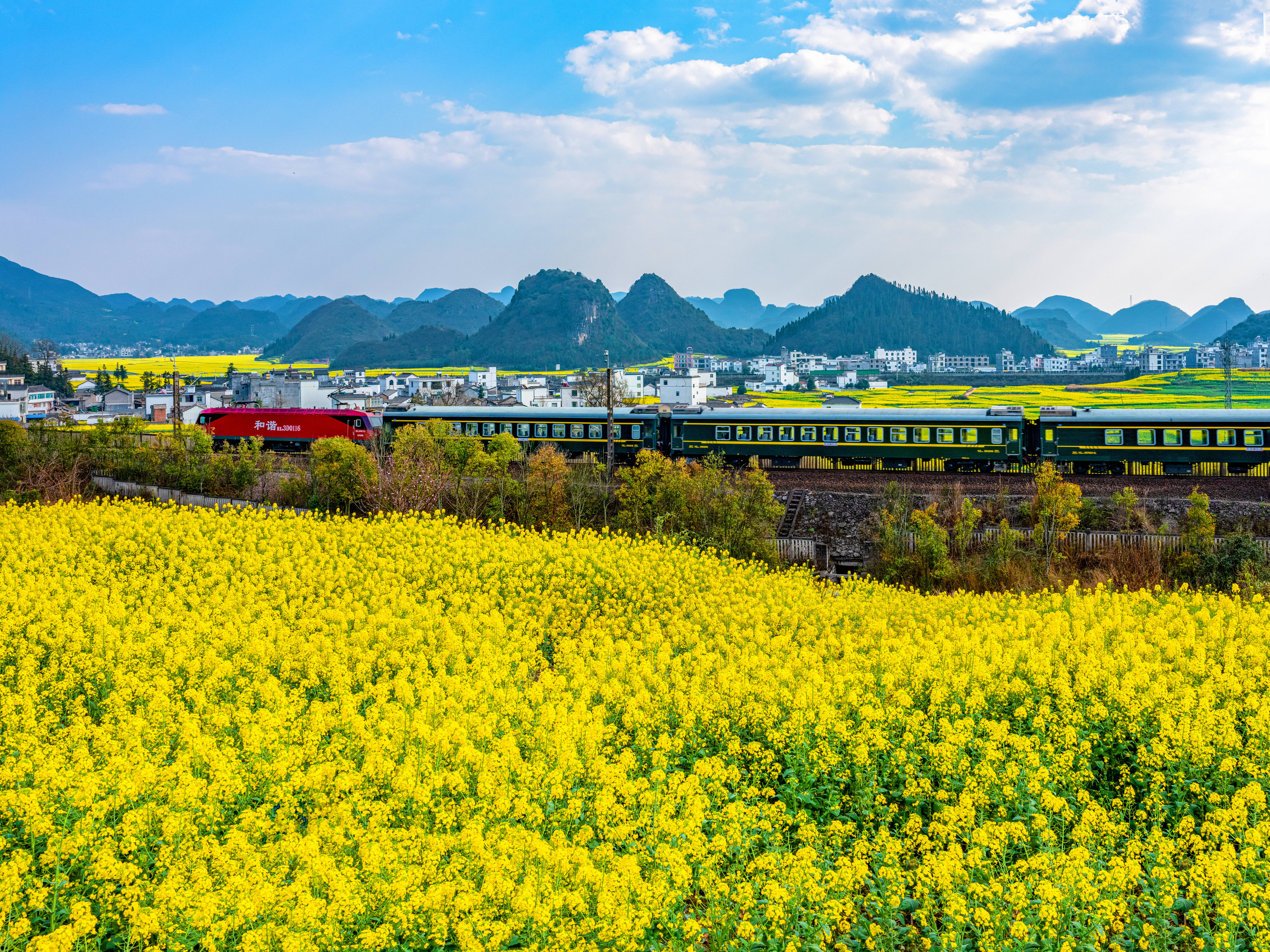 云南省文化和旅游厅