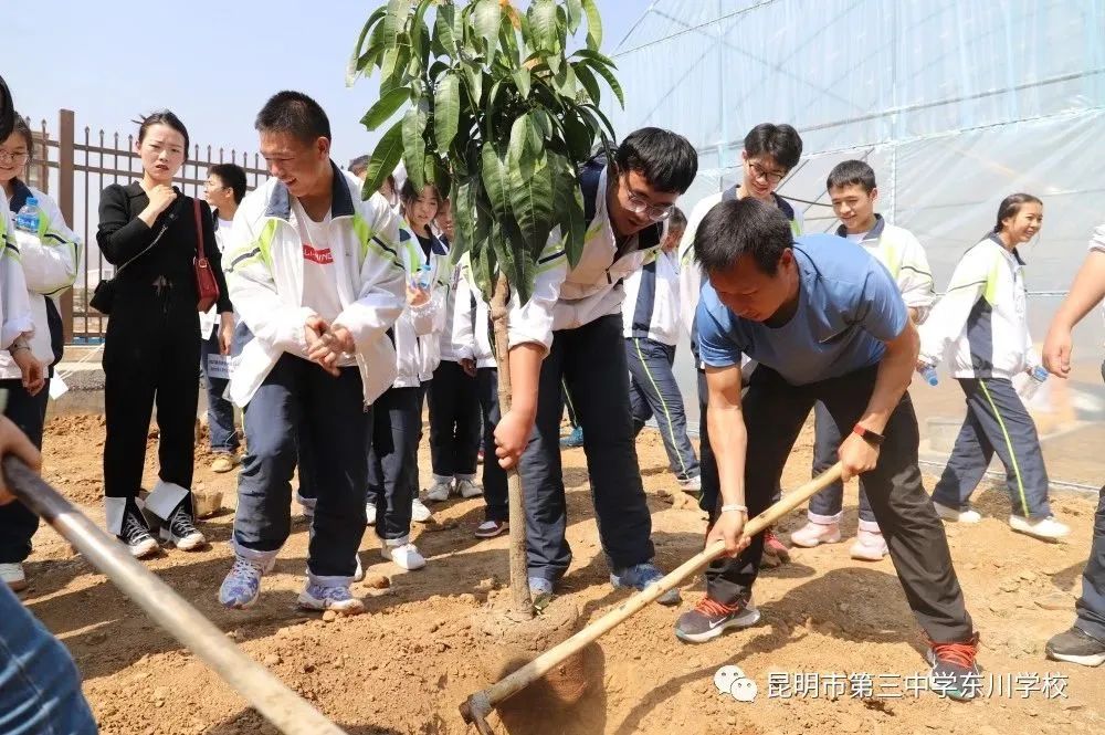 东川教育