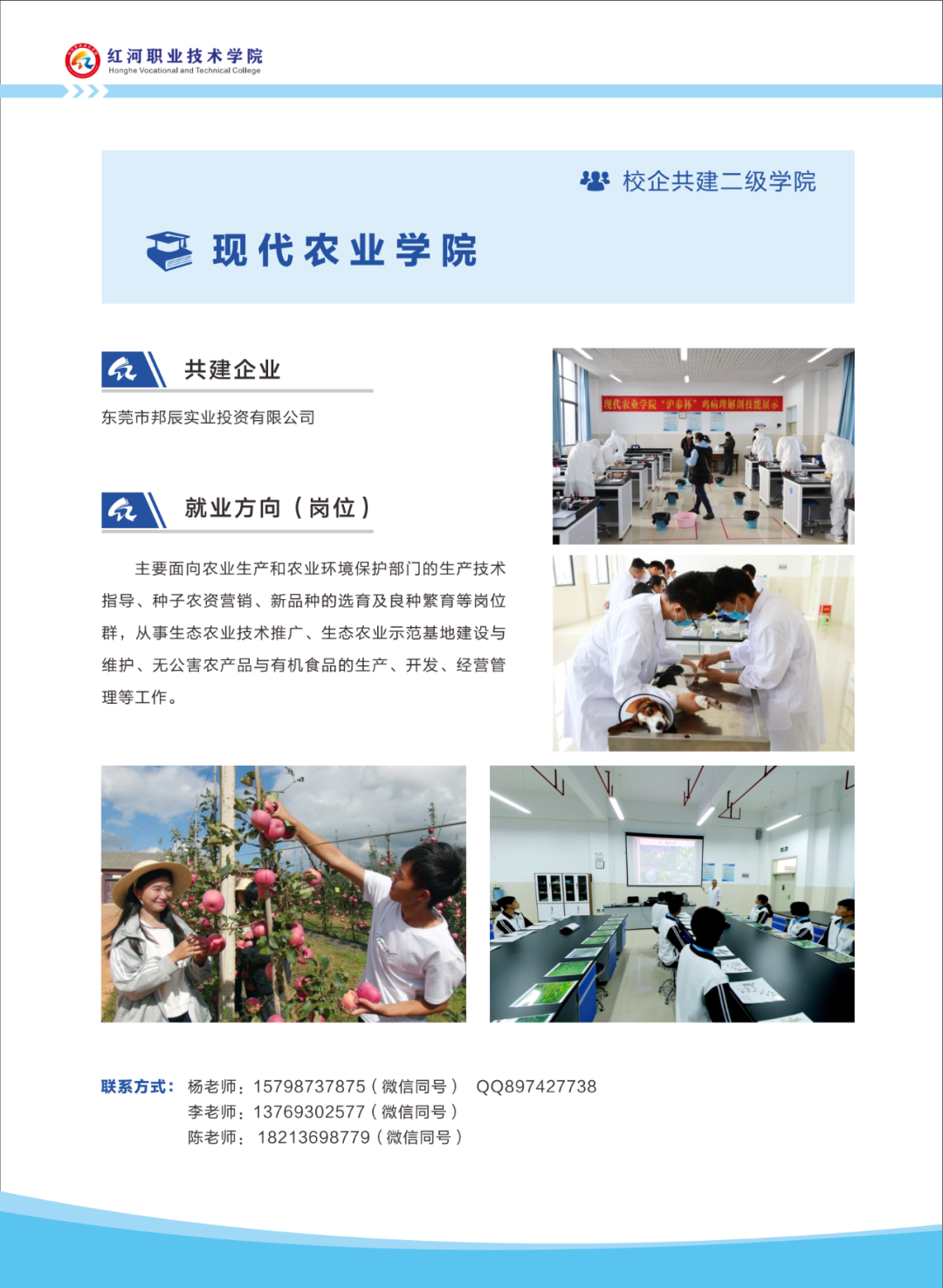 红河日报