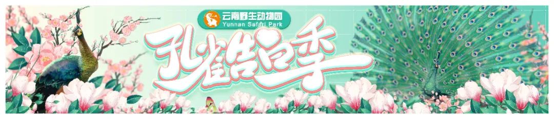 云南野生动物园