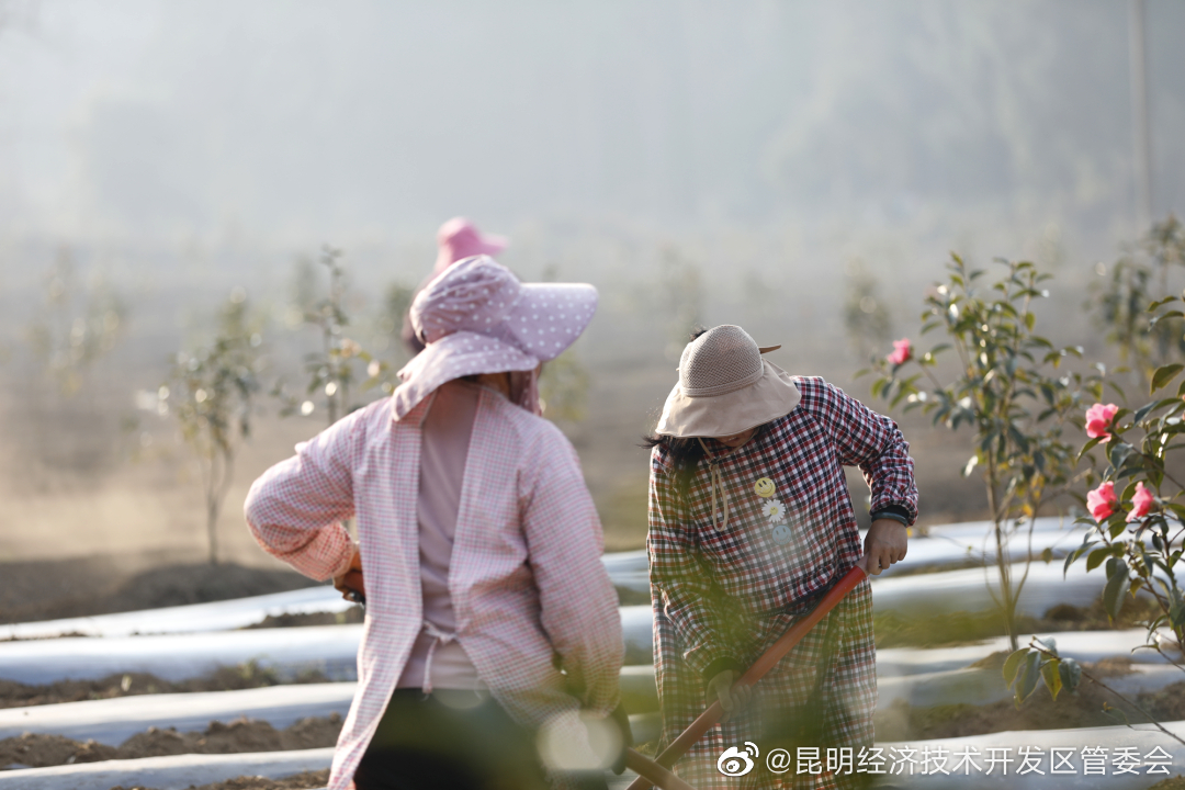 昆明经济技术开发区管委会