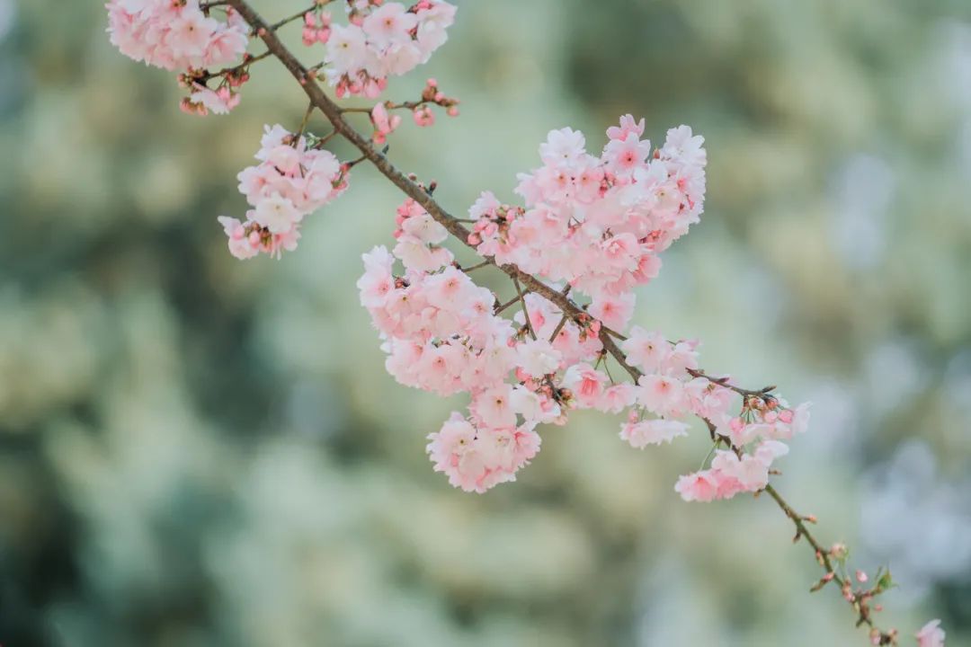 一部手机游云南