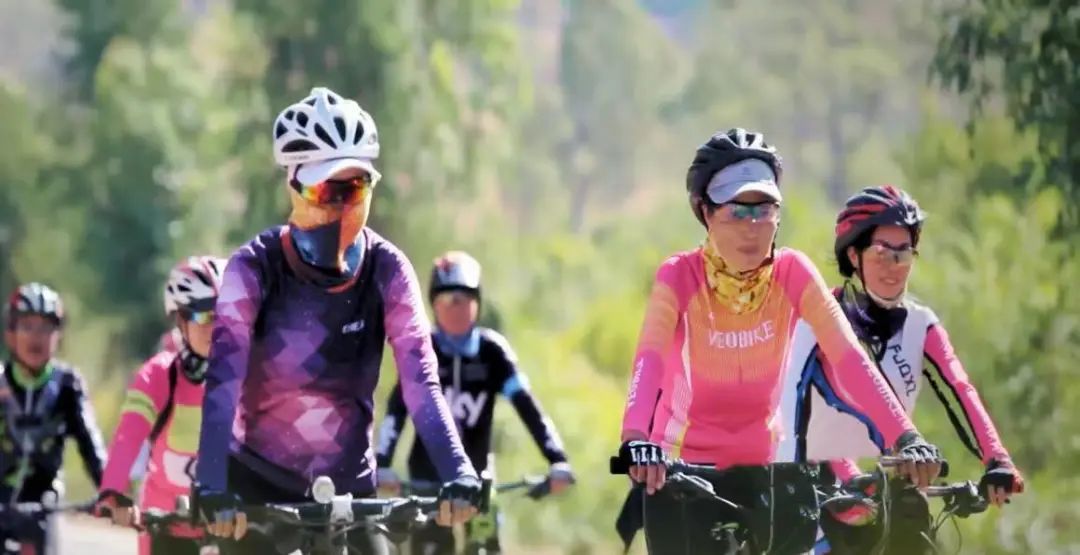 云南省文化和旅游厅