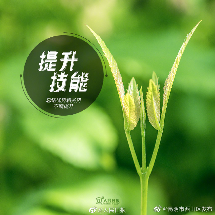 昆明市西山区发布