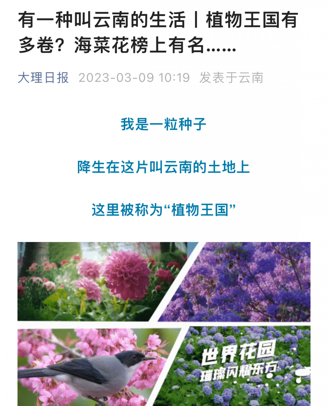 云南省文化和旅游厅