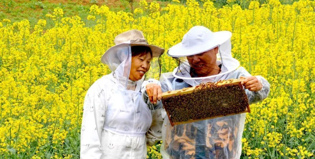 云南省文化和旅游厅