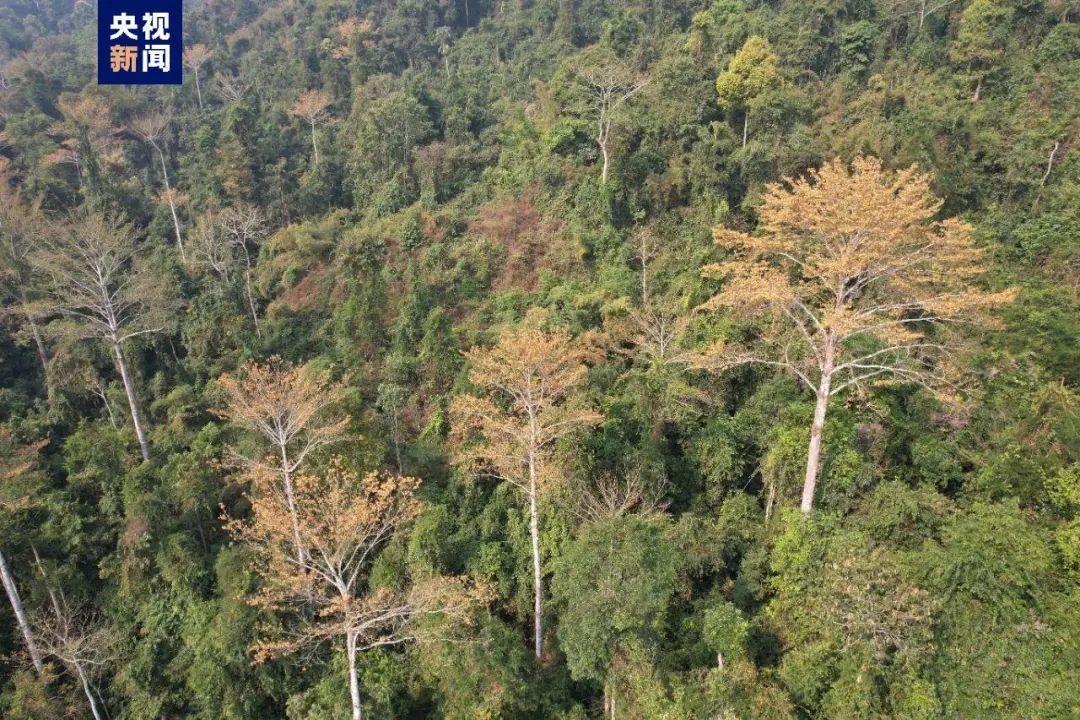 昆明信息港/cnkmxxg