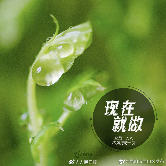 昆明市西山区发布