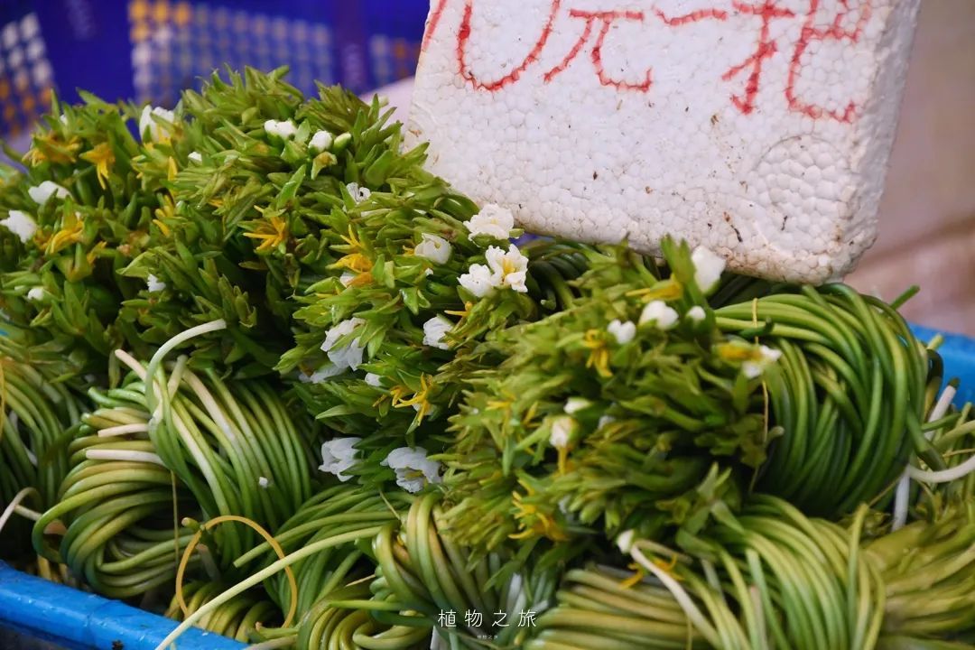 云南省文化和旅游厅