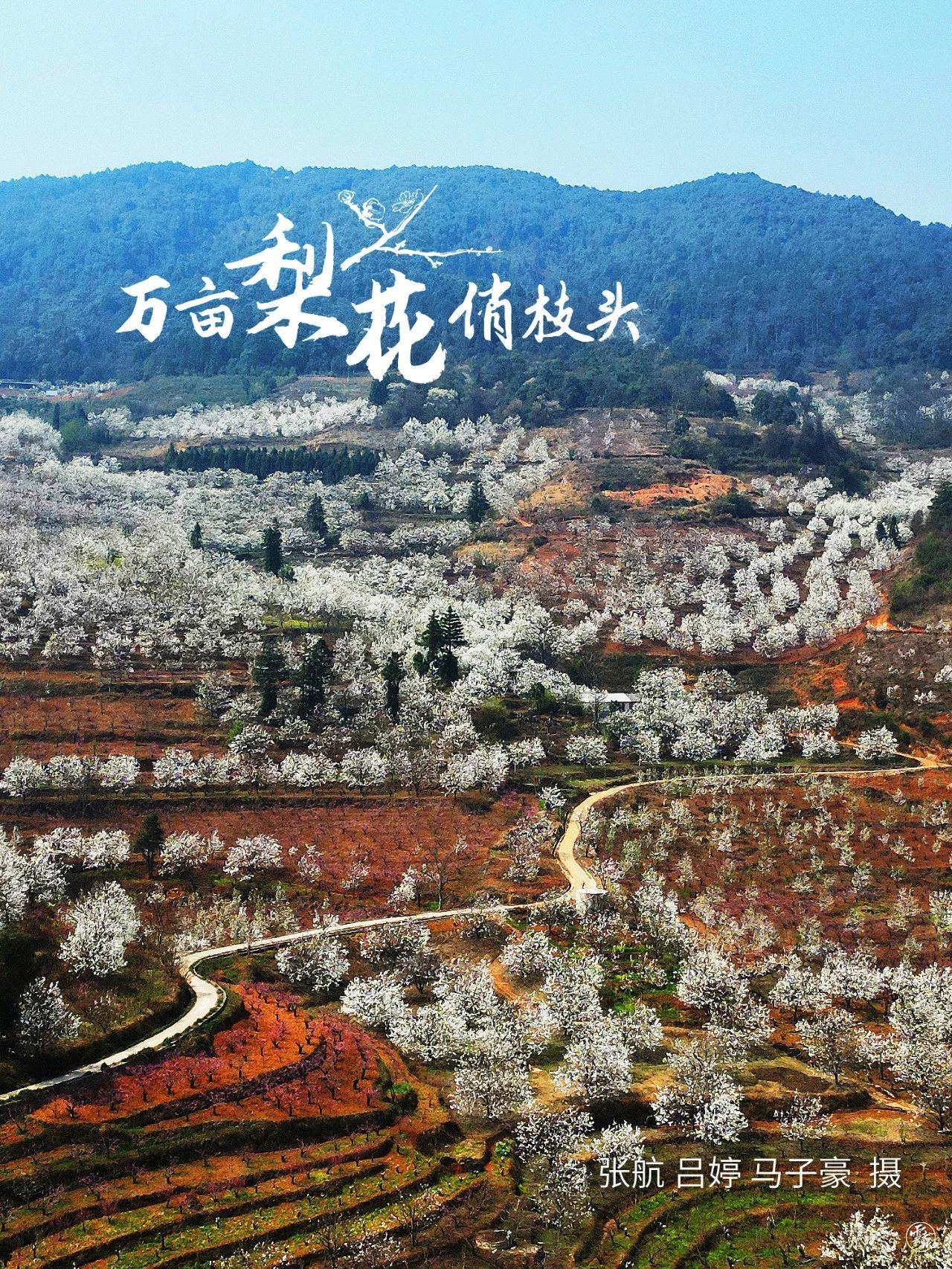 云南省文化和旅游厅