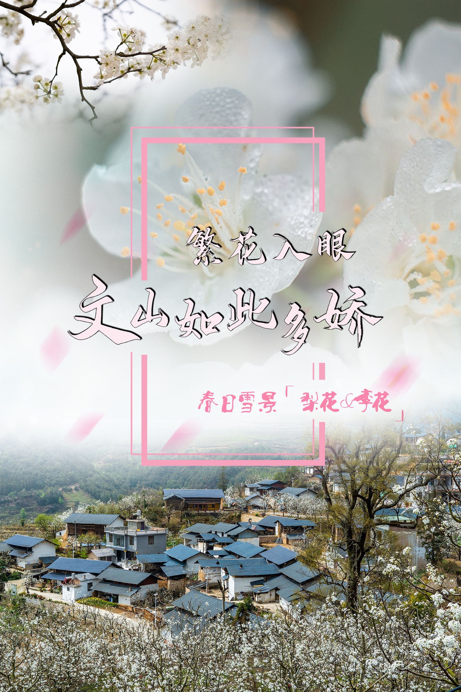 云南省文化和旅游厅