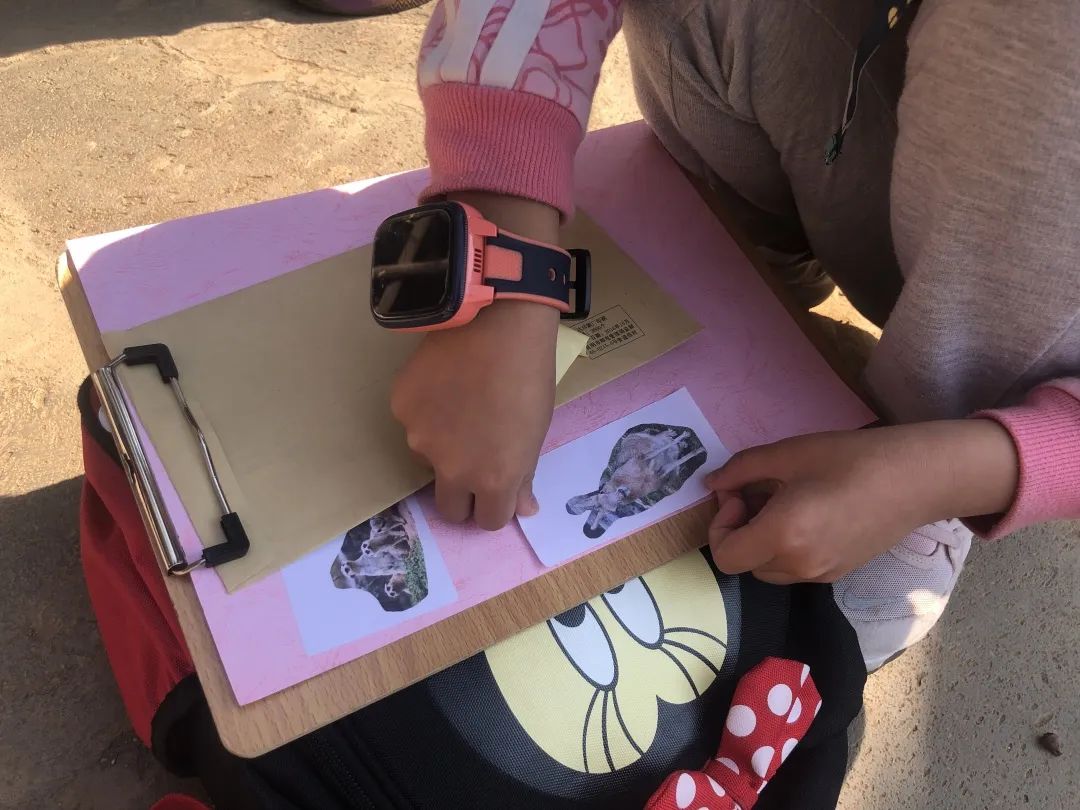 云南野生动物园