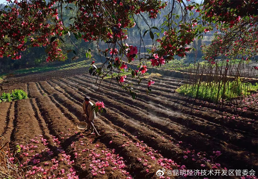 昆明经济技术开发区管委会