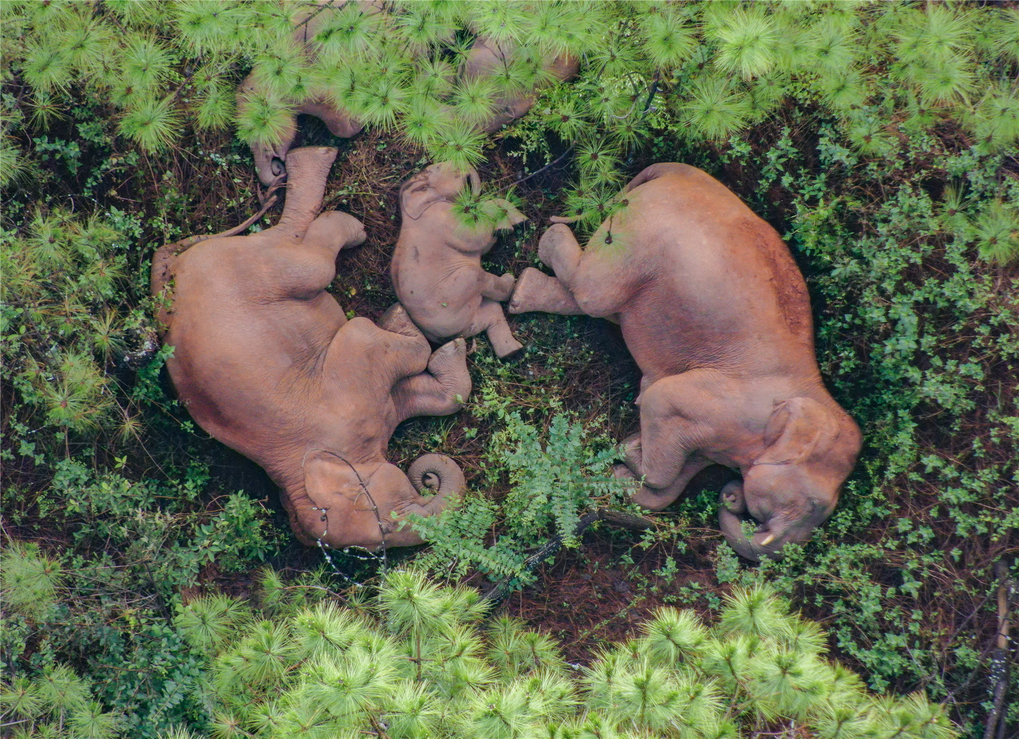 云南省文化和旅游厅