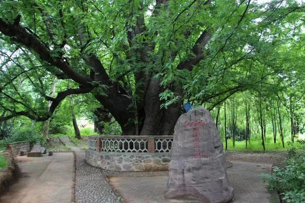 云南省文化和旅游厅