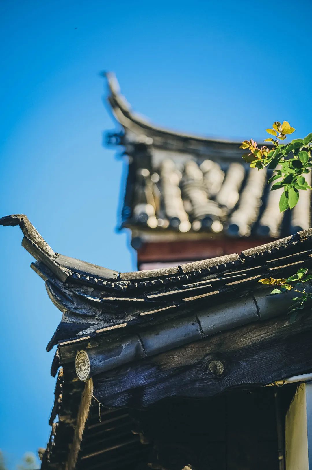 云南省文化和旅游厅